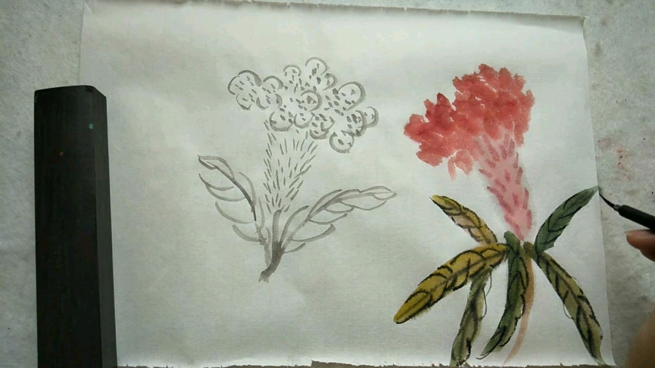 花鸟画31,鸡冠花的画法,花头与叶子的结构,色彩的运用