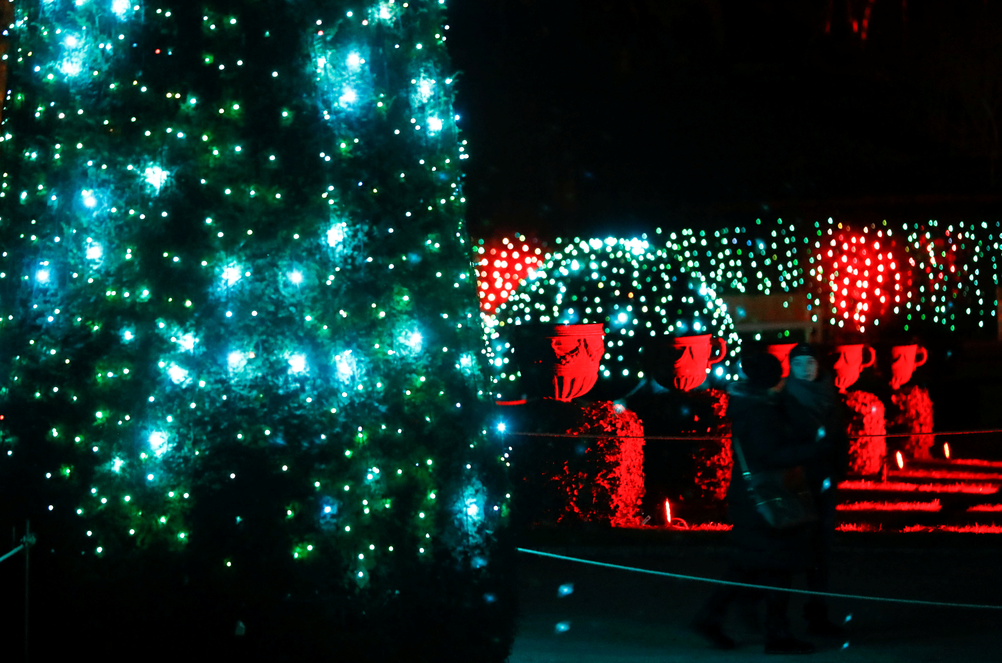 "柏林圣诞花园"灯光秀开幕(2)