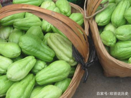 佛手瓜能生吃吗 baijiahao.baidu.com
