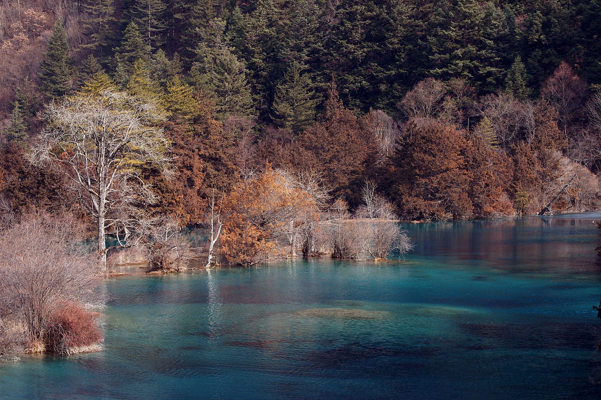 貌美如花风景图片