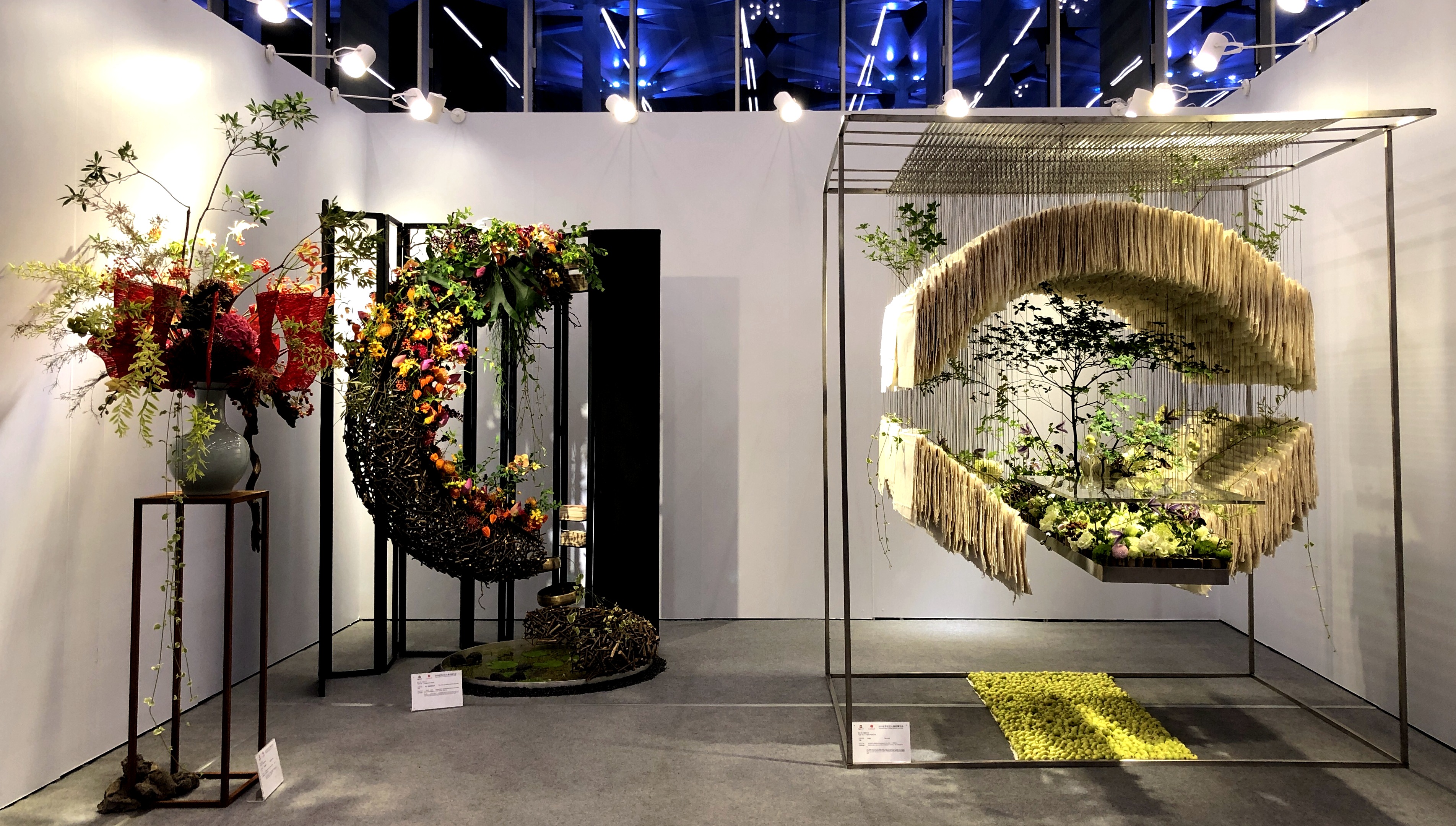 2019世界花艺大赛绽放北京世园会