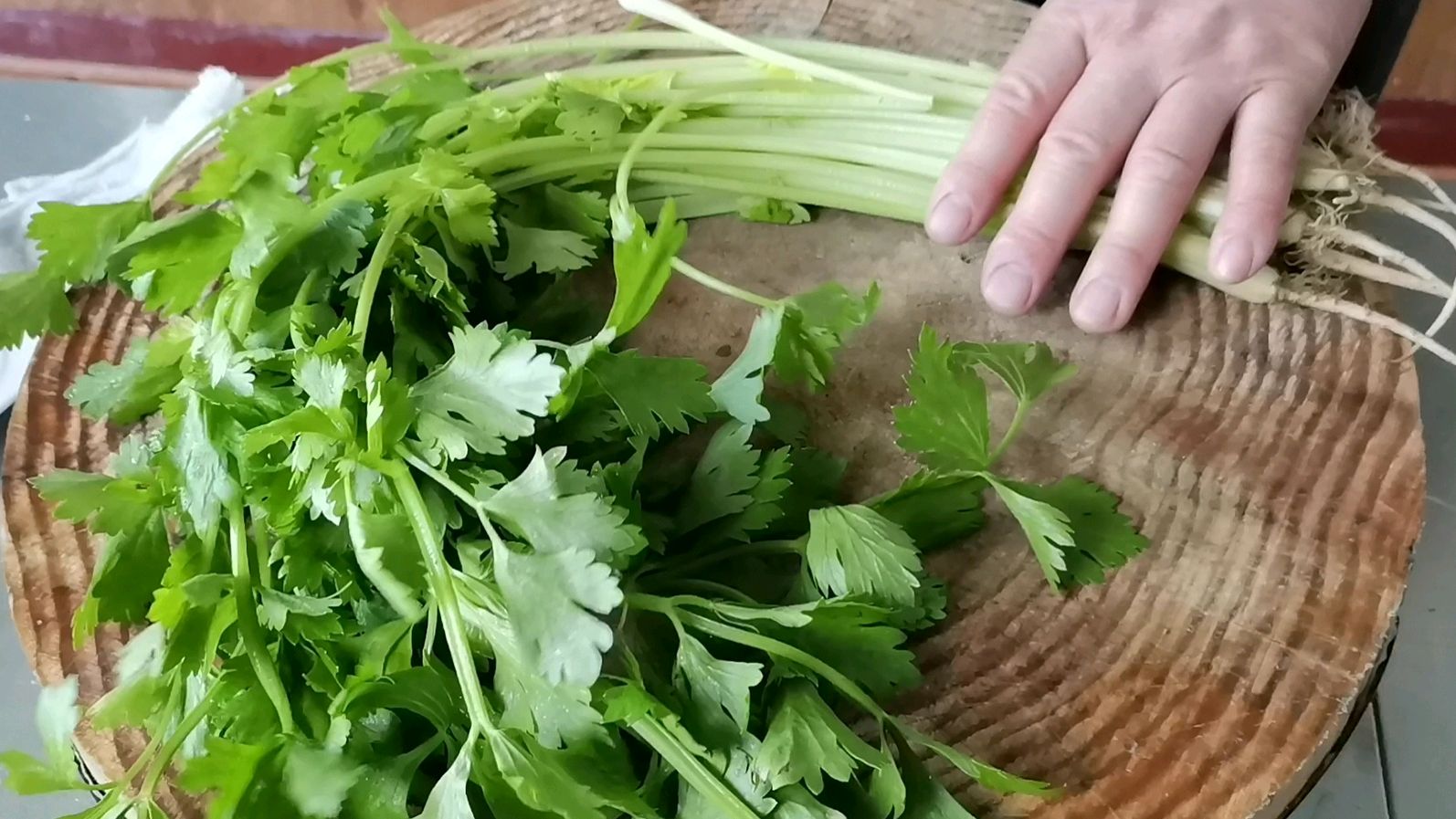 1把芹菜,2种吃法,1凉1热,做道“肉皮炒香芹”,再拌个下饭凉菜