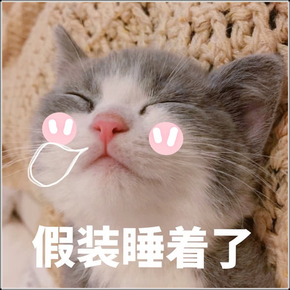 撩小男友必备可爱猫系表情包