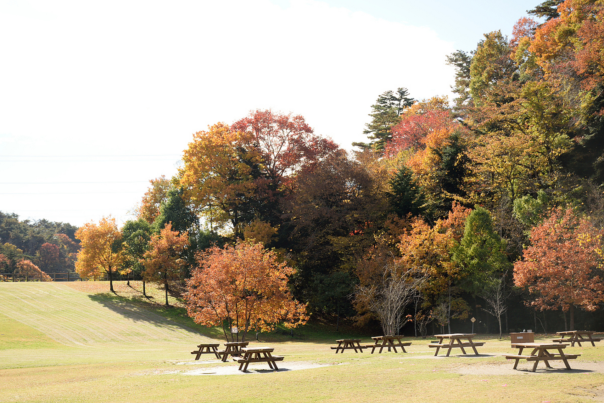 库伯佩地是位于澳大利亚西部的一处内陆沙漠地区,秋天是最佳旅游季节.
