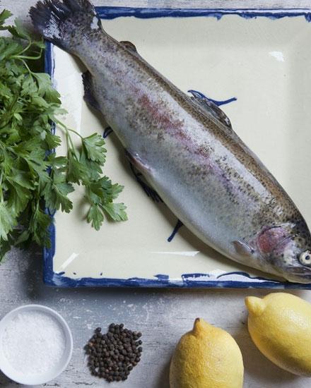 鱼身上一部位全是脑黄金,可惜知道的人都不说出来