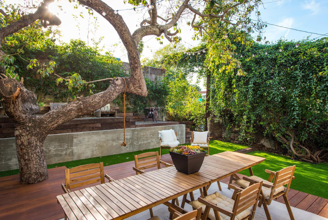 《案例四》这个庭院里的树木非常粗壮,除了一棵古树,庭院里还种植了许