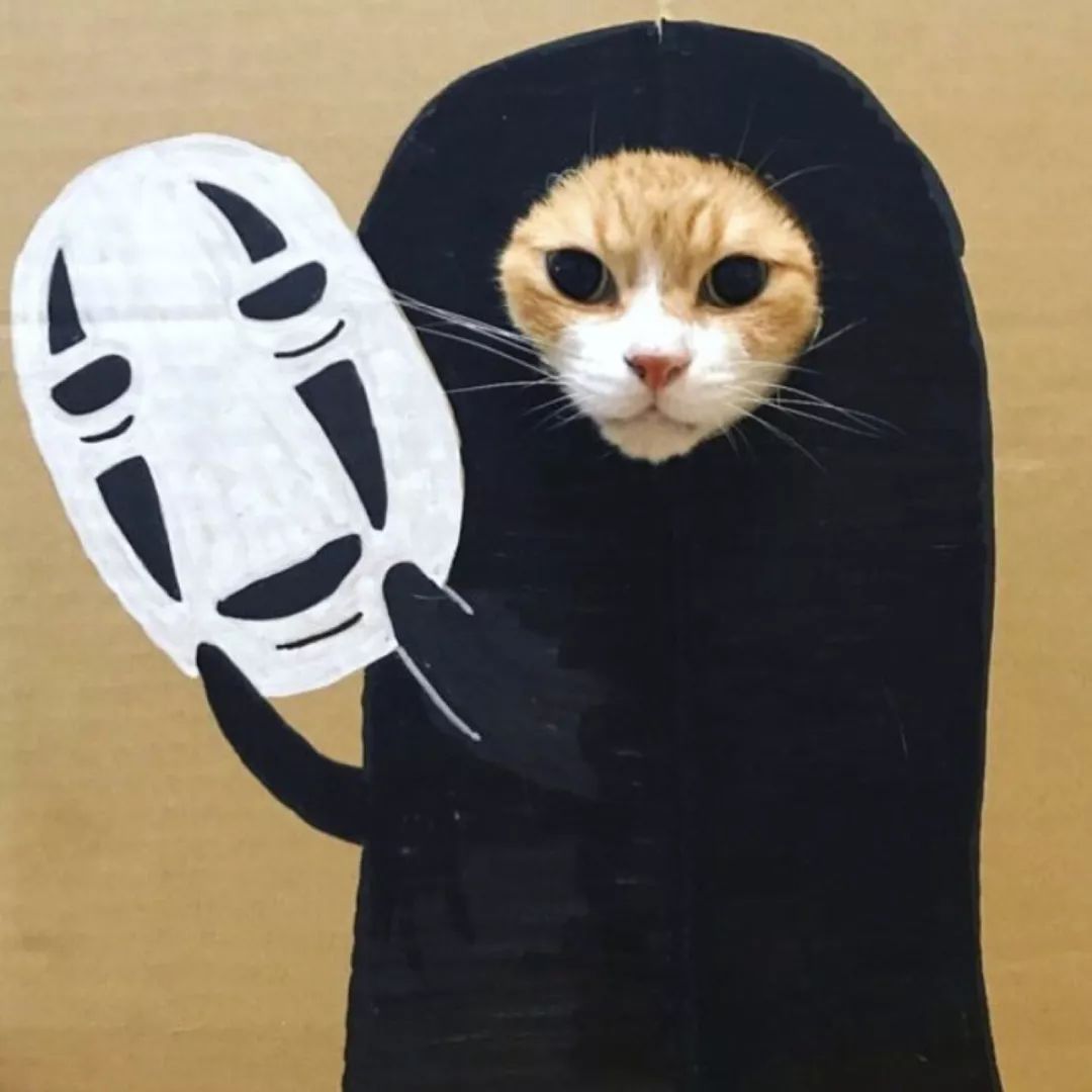 抖音超可爱头像|小可爱们查收