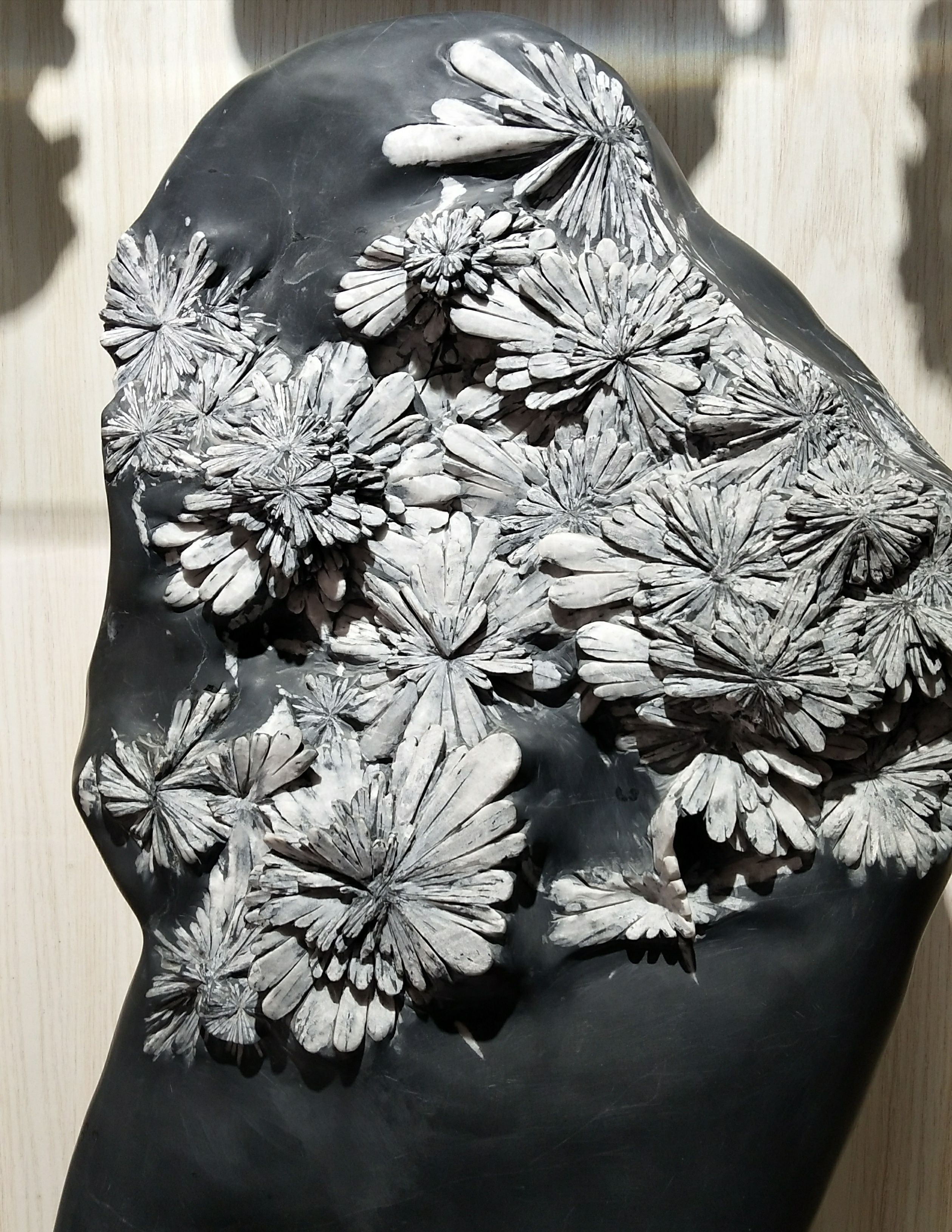 [原创]石头开花,天下奇绝