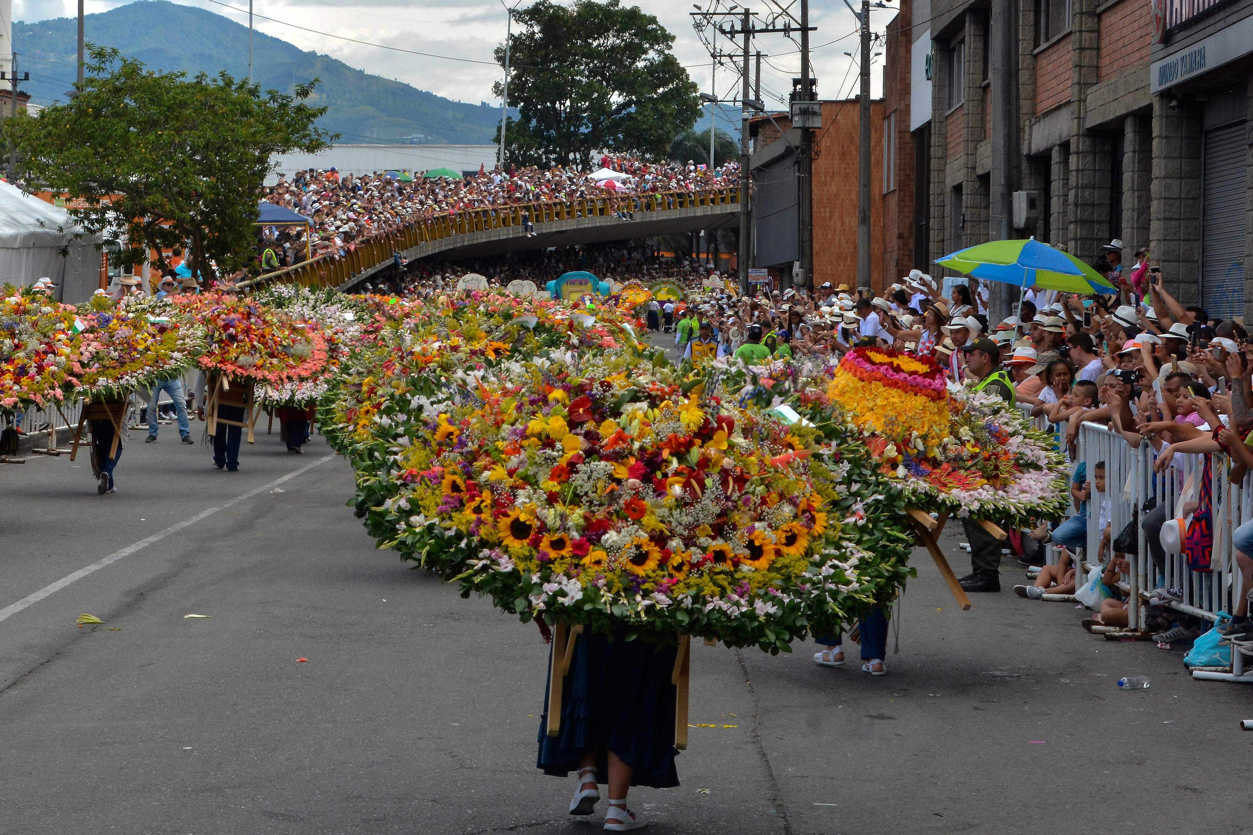哥伦比亚鲜花节游行(12)