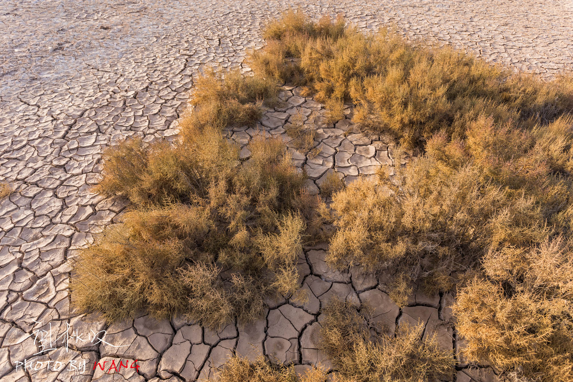 白银景泰,竟藏着一片又咸又涩的西伯利亚雪原,荒芜却透露着生机!