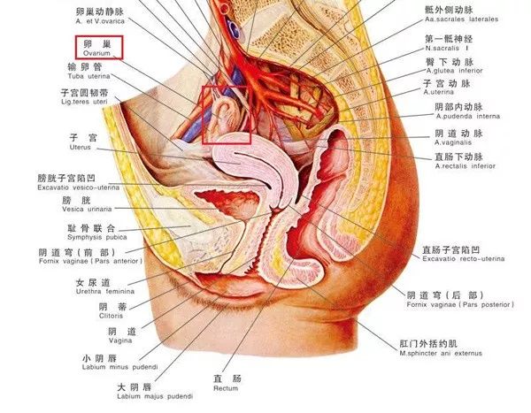 这个专坑女人的美容项目,骗钱还致癌,别再上当