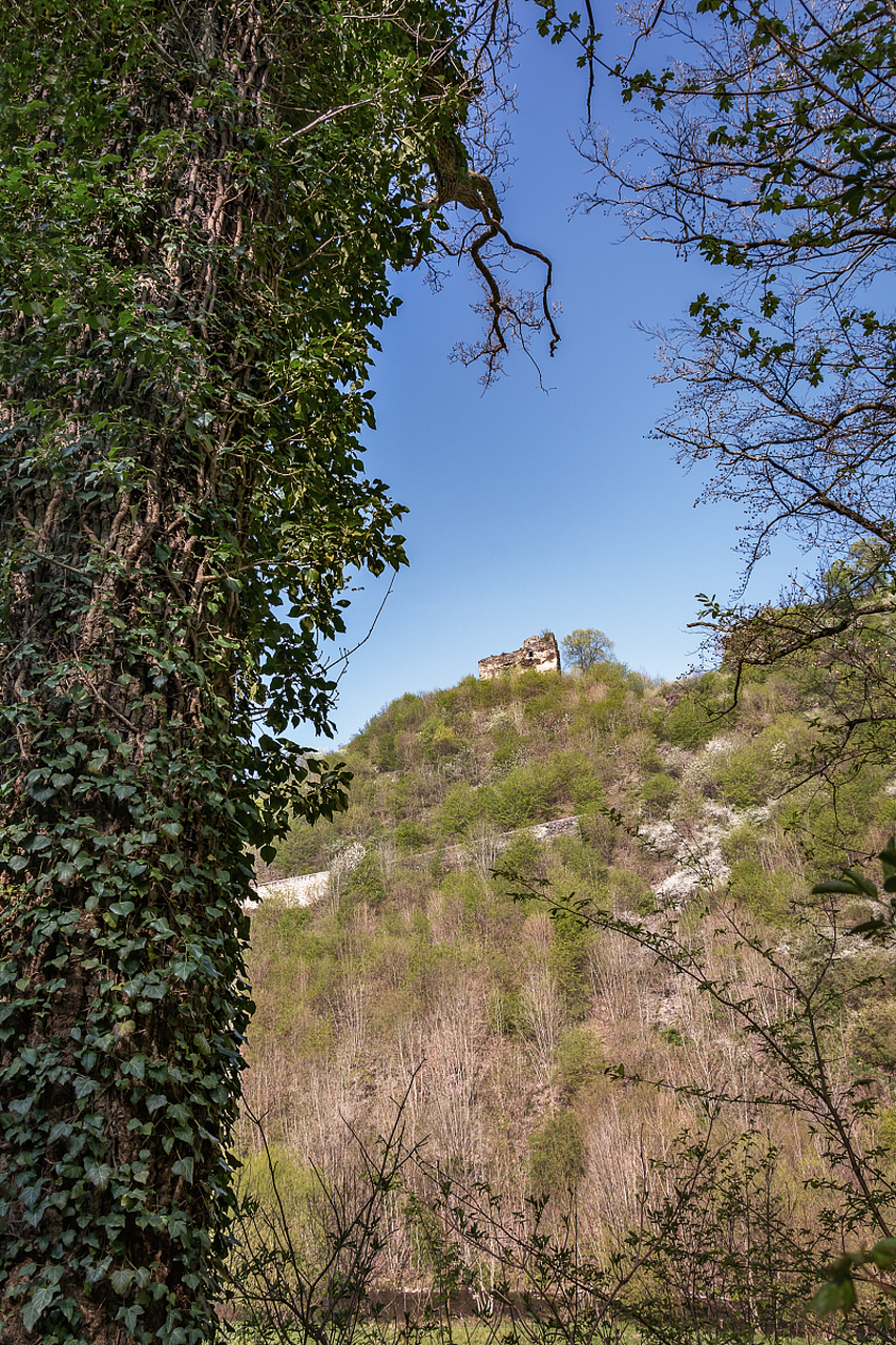 黎母山森林公园 作为海南的名山,黎母山不仅是黎族人民的始祖山,还