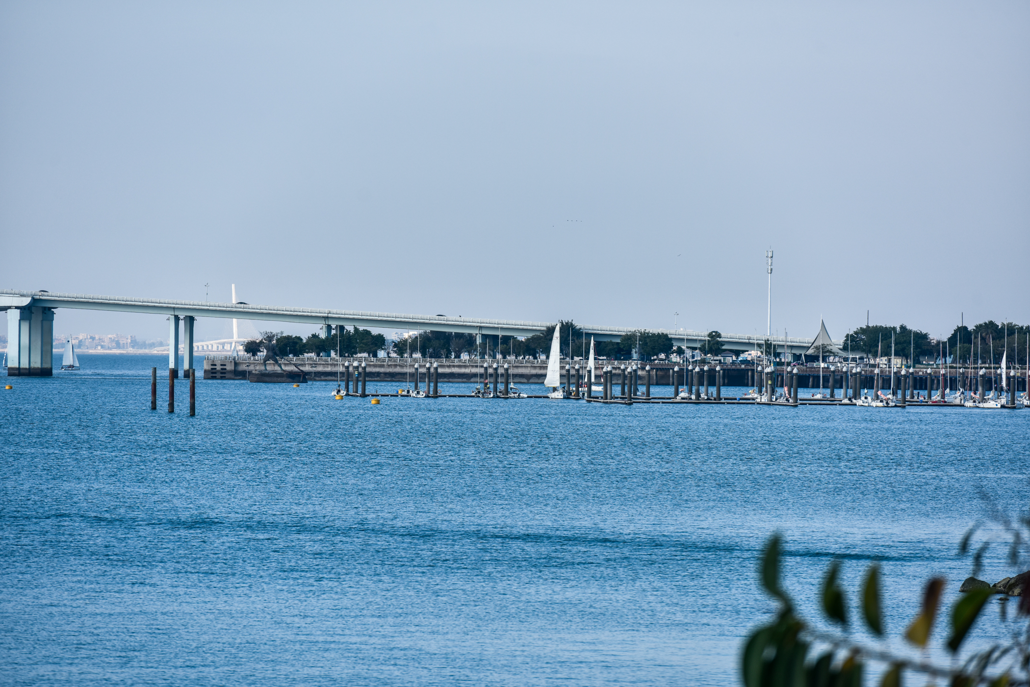 我国沿海最美城市:《西虹市首富》取景地,春节间旅游收入超33亿