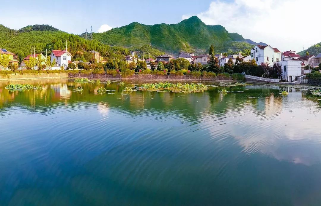 一年吸收40余吨二氧化碳~临安试建浙江首个公众碳汇林基地