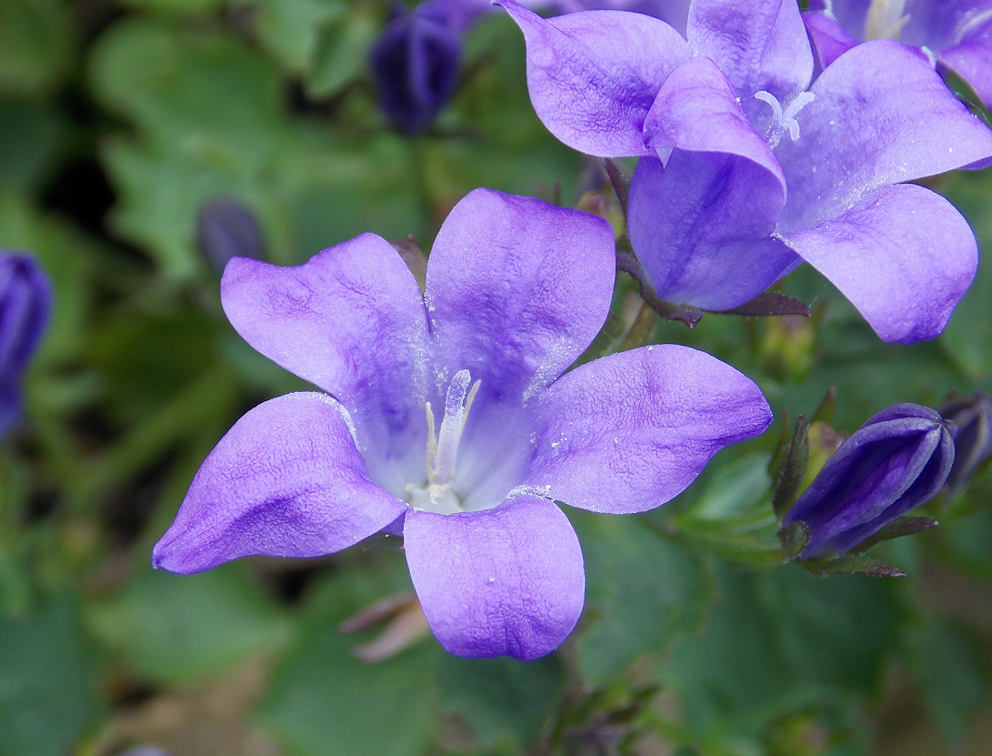 平静的海面映着岸边的礁石,在看到这样的景色后,不免让人怀念