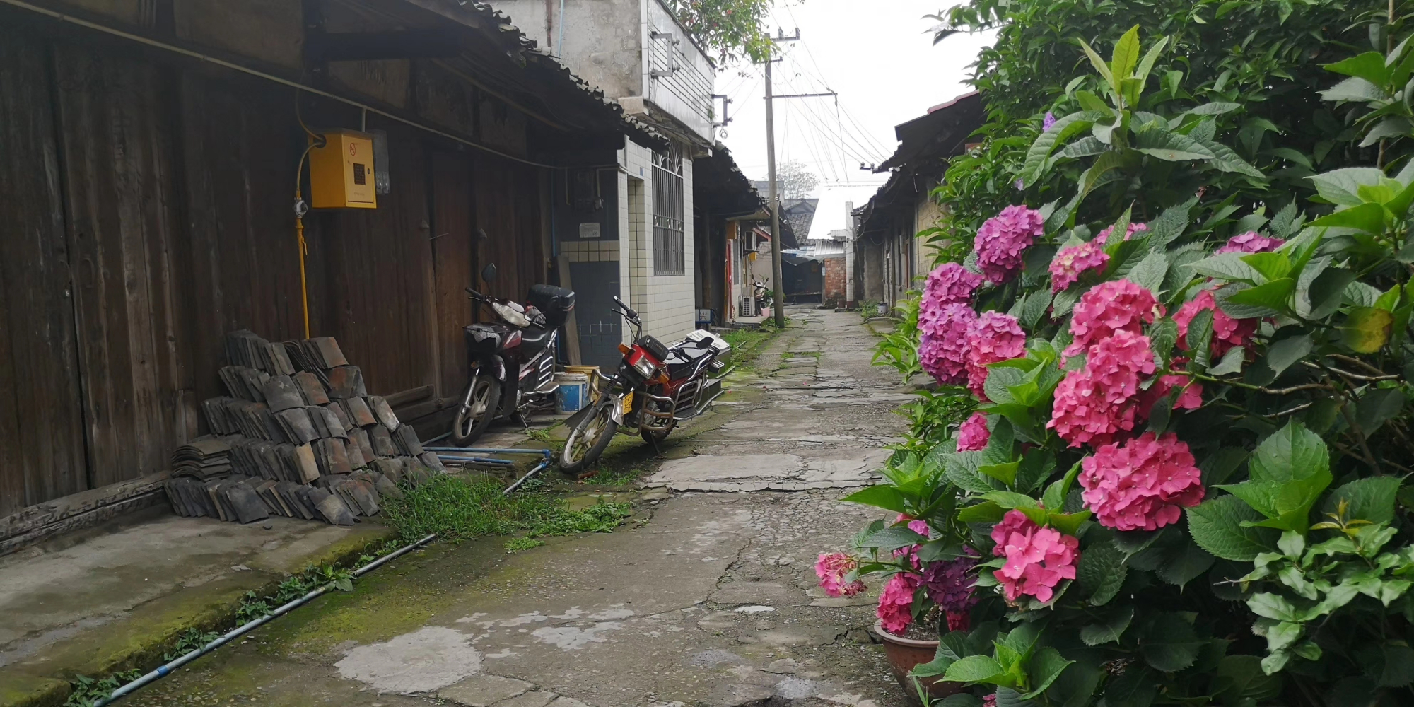 西坝老街:西坝镇,好幽静的雨后老街,若有一只猫走过,当是最好