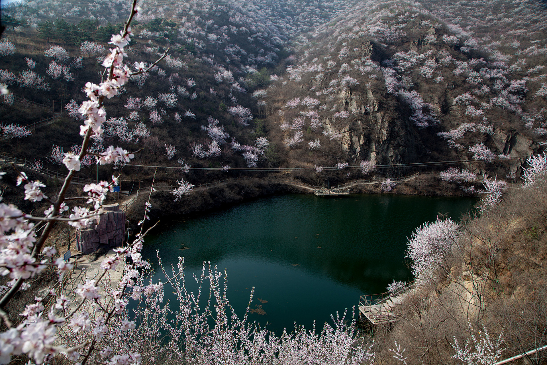 镜头里的春天# #镜头里的春日# 春游踏青新篇章:门头沟北灵山的露营