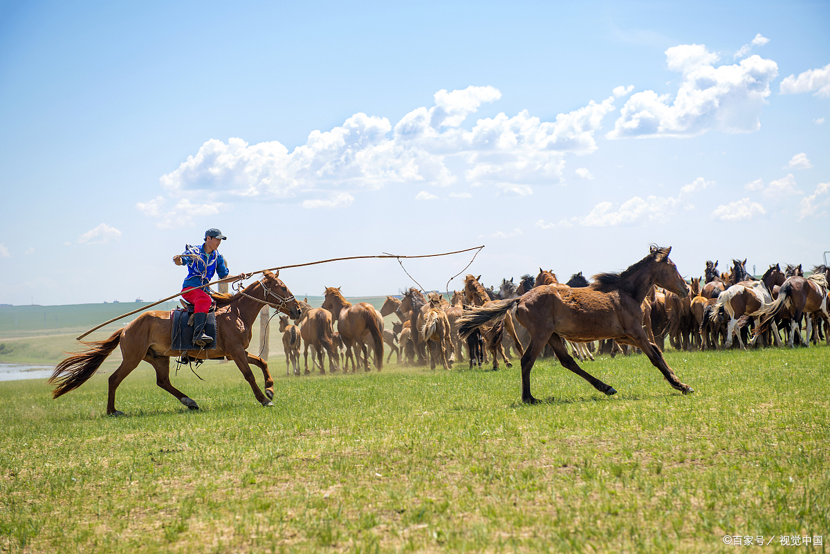 想象一下,在广袤无垠的草原上,你不仅可以骑马畅游,还可以参加各种