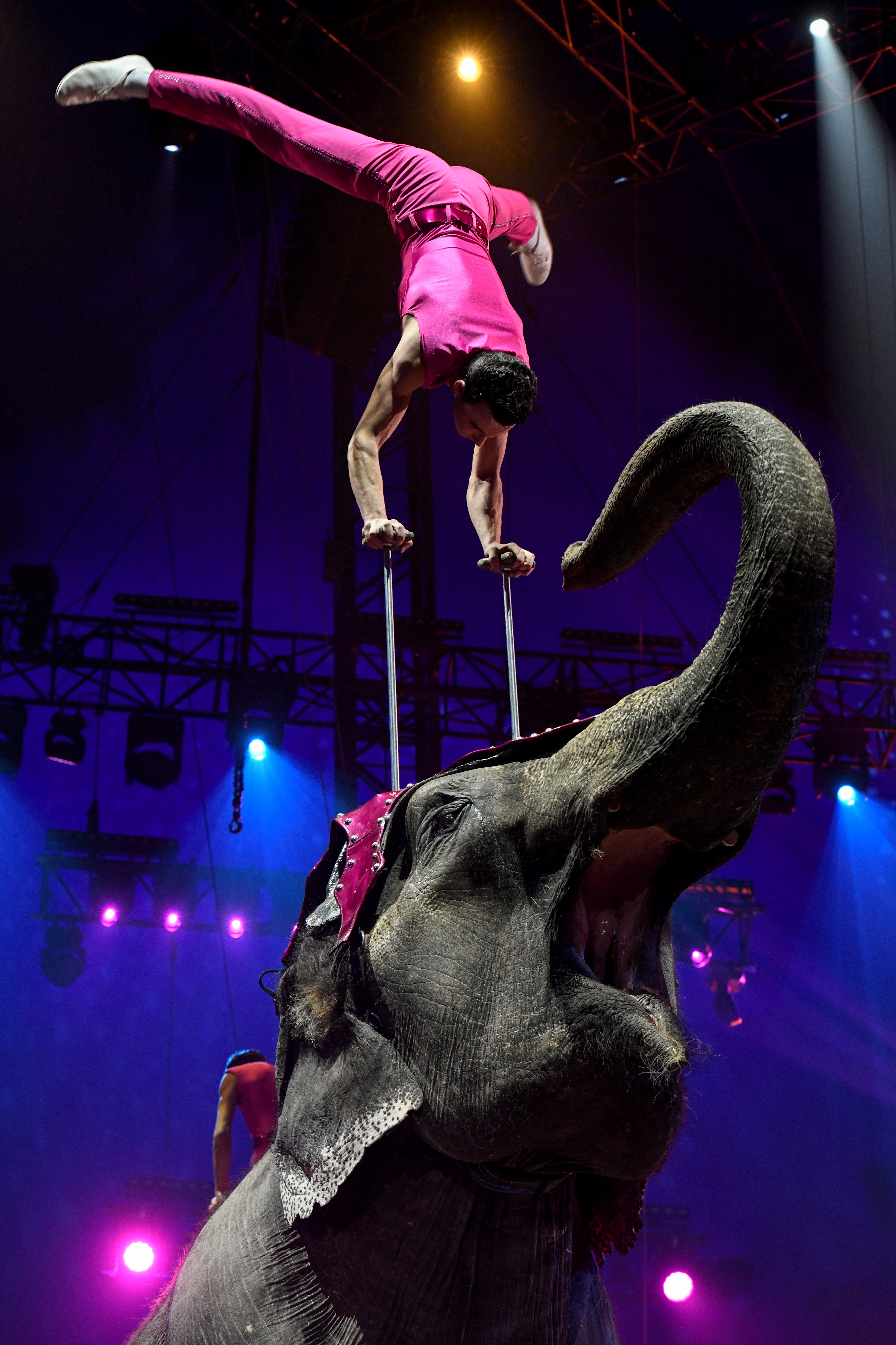 第43届蒙特卡洛国际马戏节