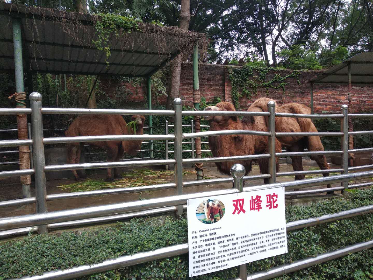 梧州市太和花园动物园图片