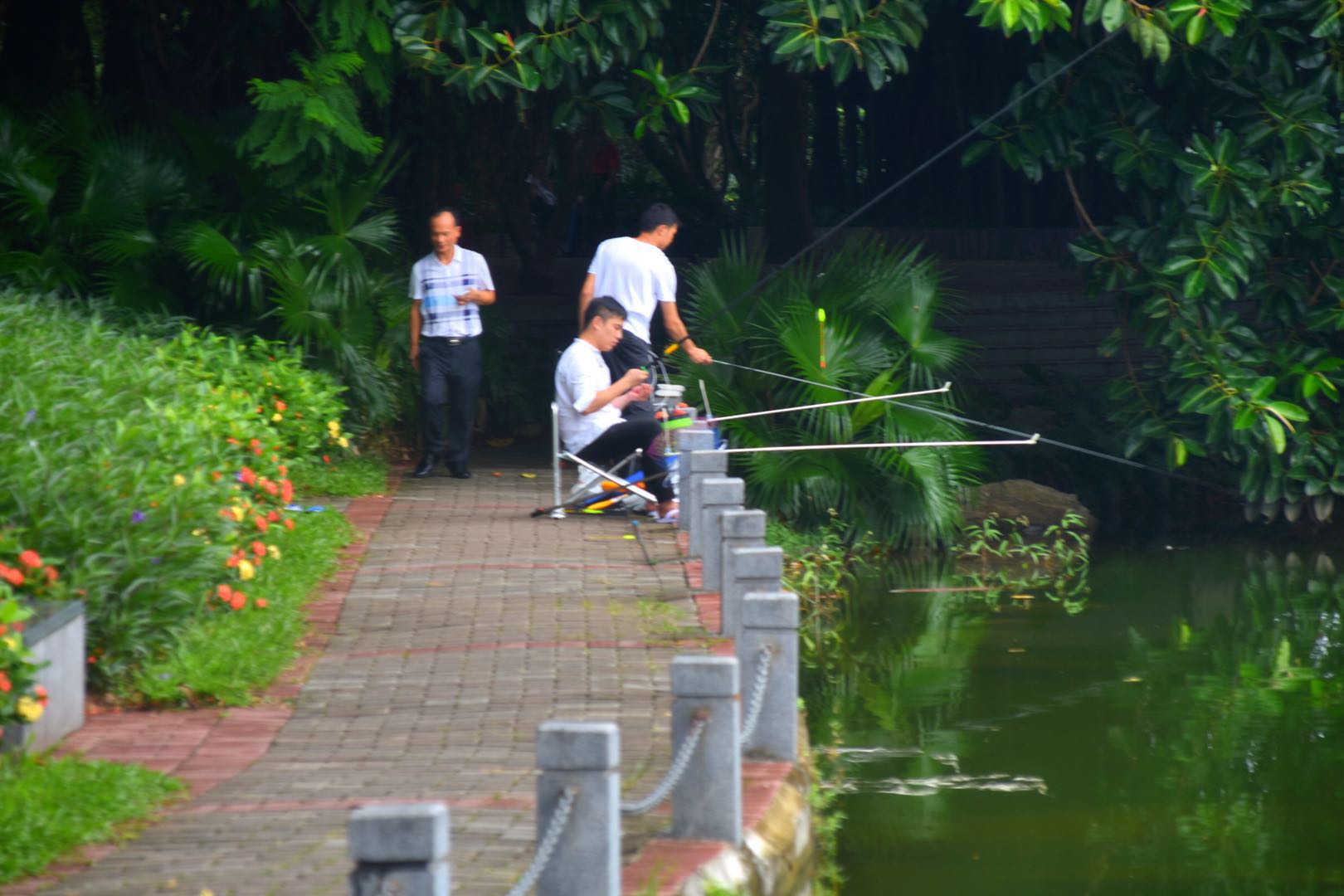 深圳洪湖公园钓鱼图片
