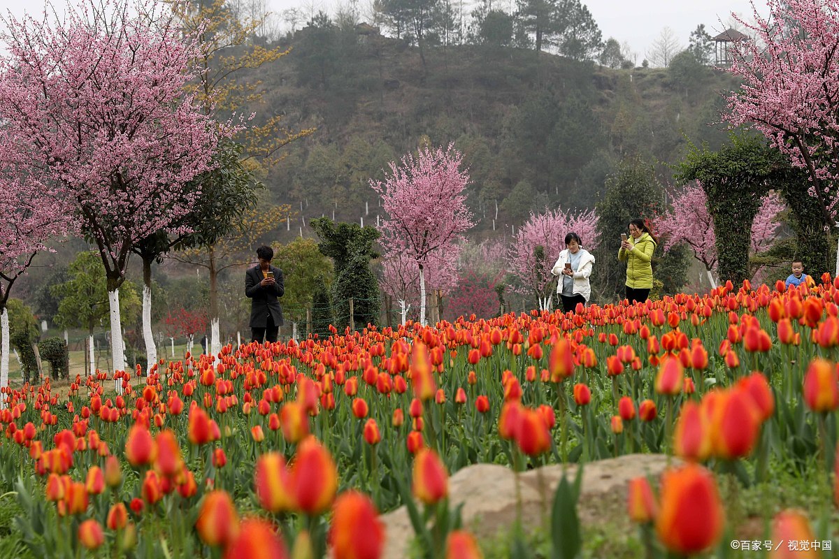 春日里,我踏上了一场说走就走的贵阳之旅,心中那抹对自然的渴望,指引
