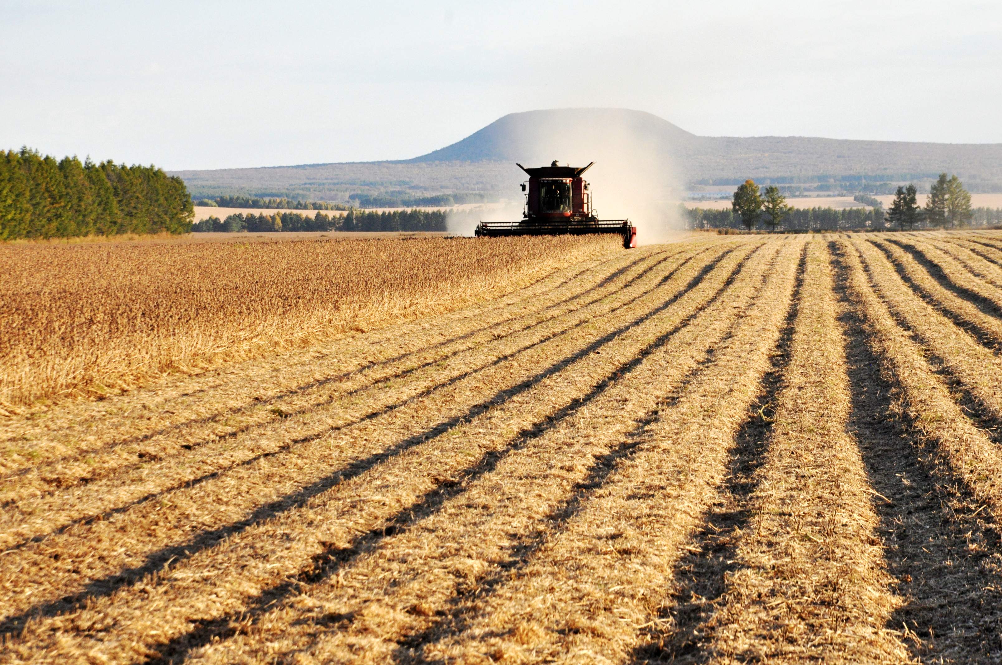 黑龙江垦区秋收忙