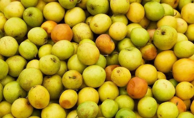 此物堪称"天然痔疮药",一日三餐吃一点,缓解便秘,赶走老痔疮