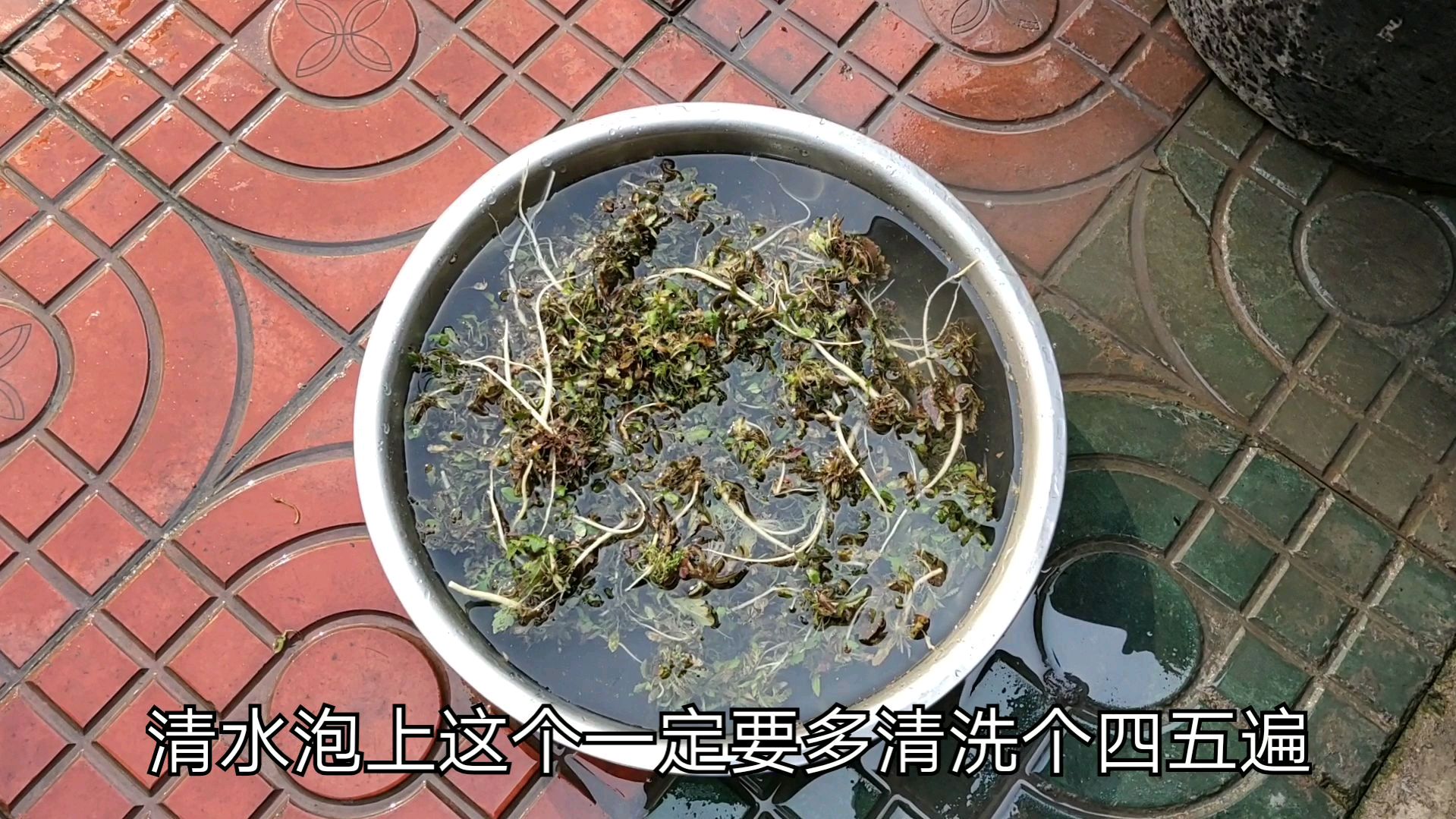 老苏分享祖传“荠菜鱼”的做法,小时候妈妈的味道