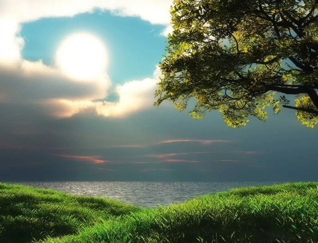 「任子杰专刊」给自己勇气