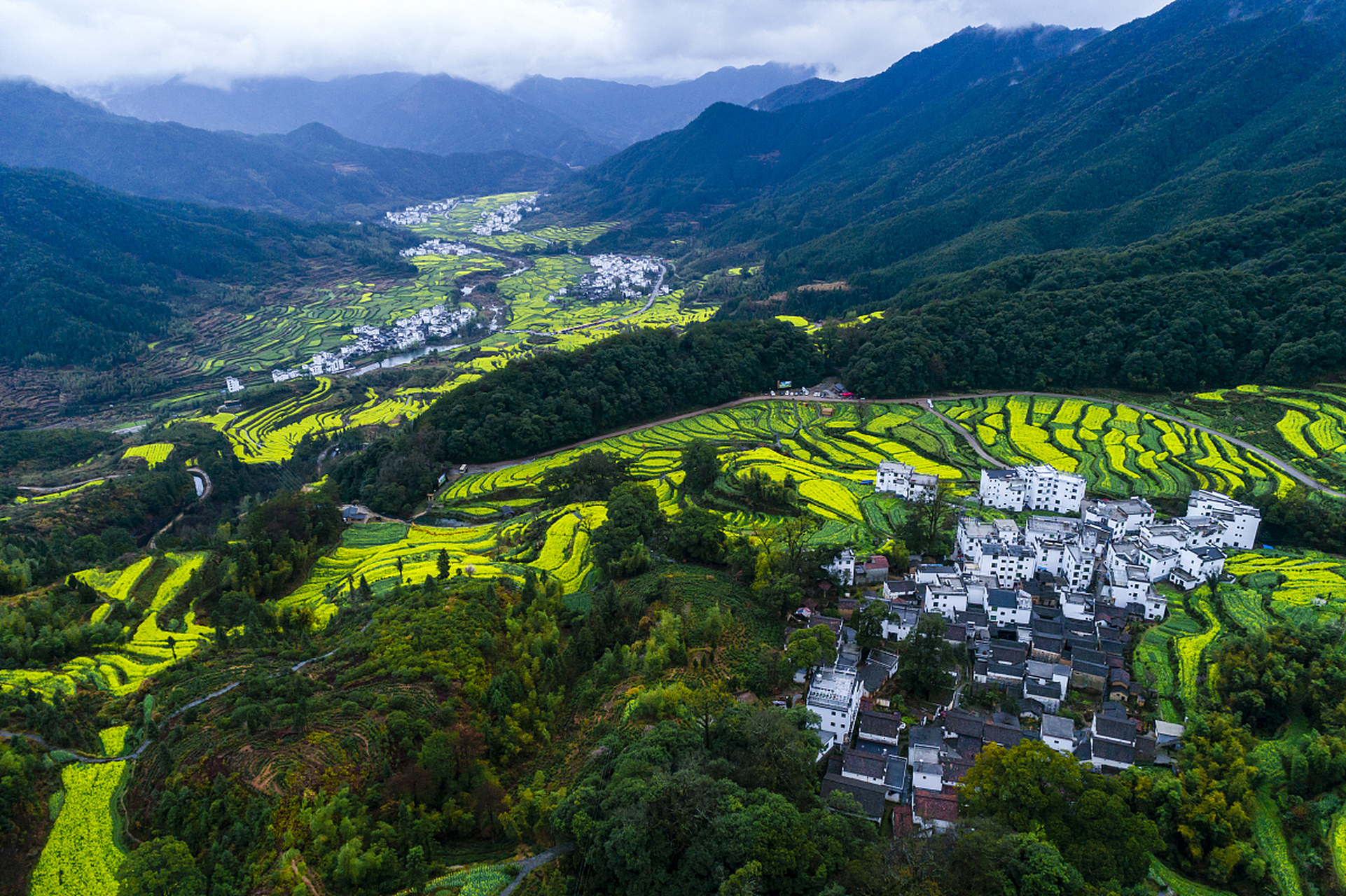 女儿跟我聊天,后悔以前英语学得太差,影响就业前景.
