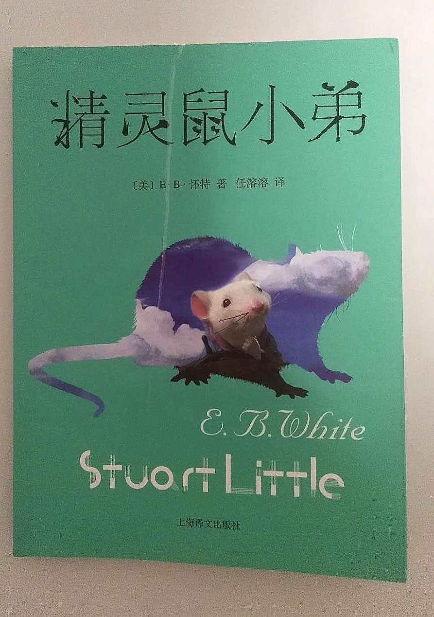 精灵鼠小弟:一本以人生追求为主题的书,请让您的孩子阅读