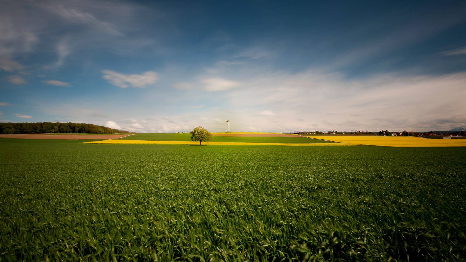 元宵节开始,想啥来啥,生活富足,衣食无忧,非富即贵的3大星座