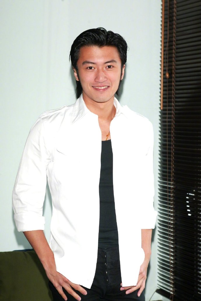 即便过去多年,谢霆锋还是一样的帅气,他的那张脸没有丝毫的变化