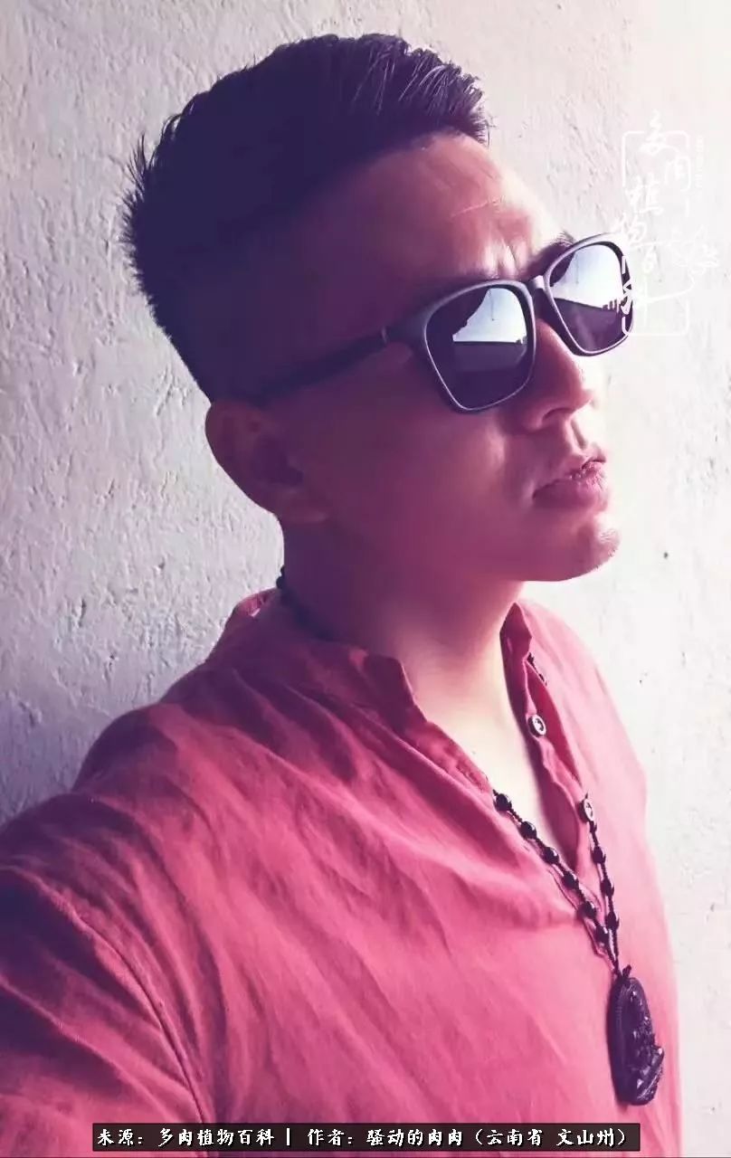 重庆男人在云南,一个和多肉痛并快乐着的男人!