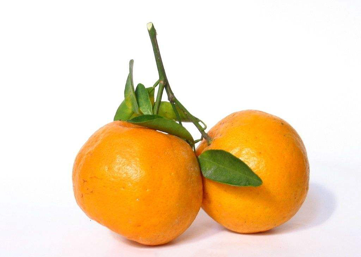 潮汕过年特有的"换柑运动",很多人表示:有点意思儿!