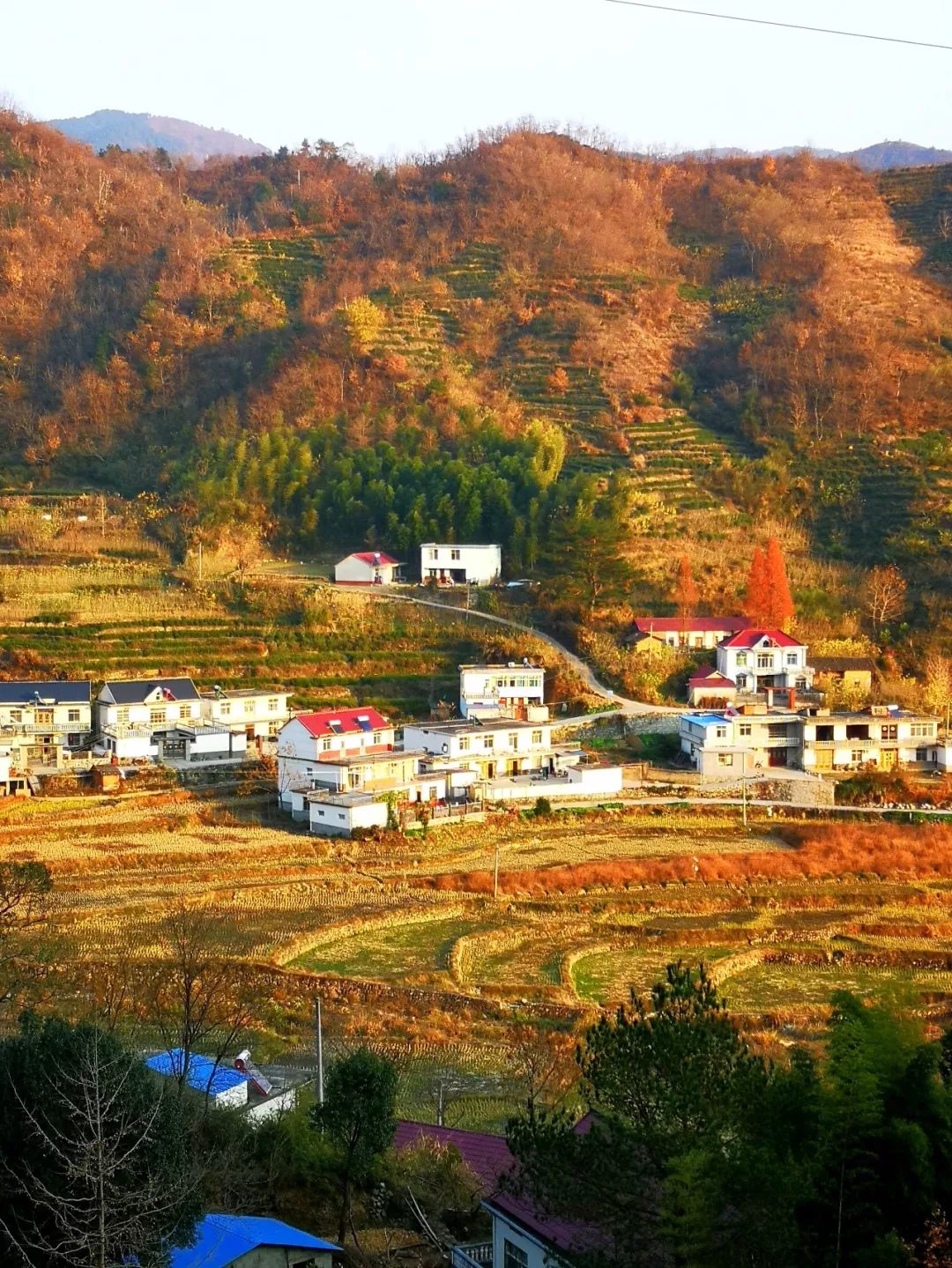 「美图欣赏」美丽乡村行一一岳西温泉镇桃岭村!