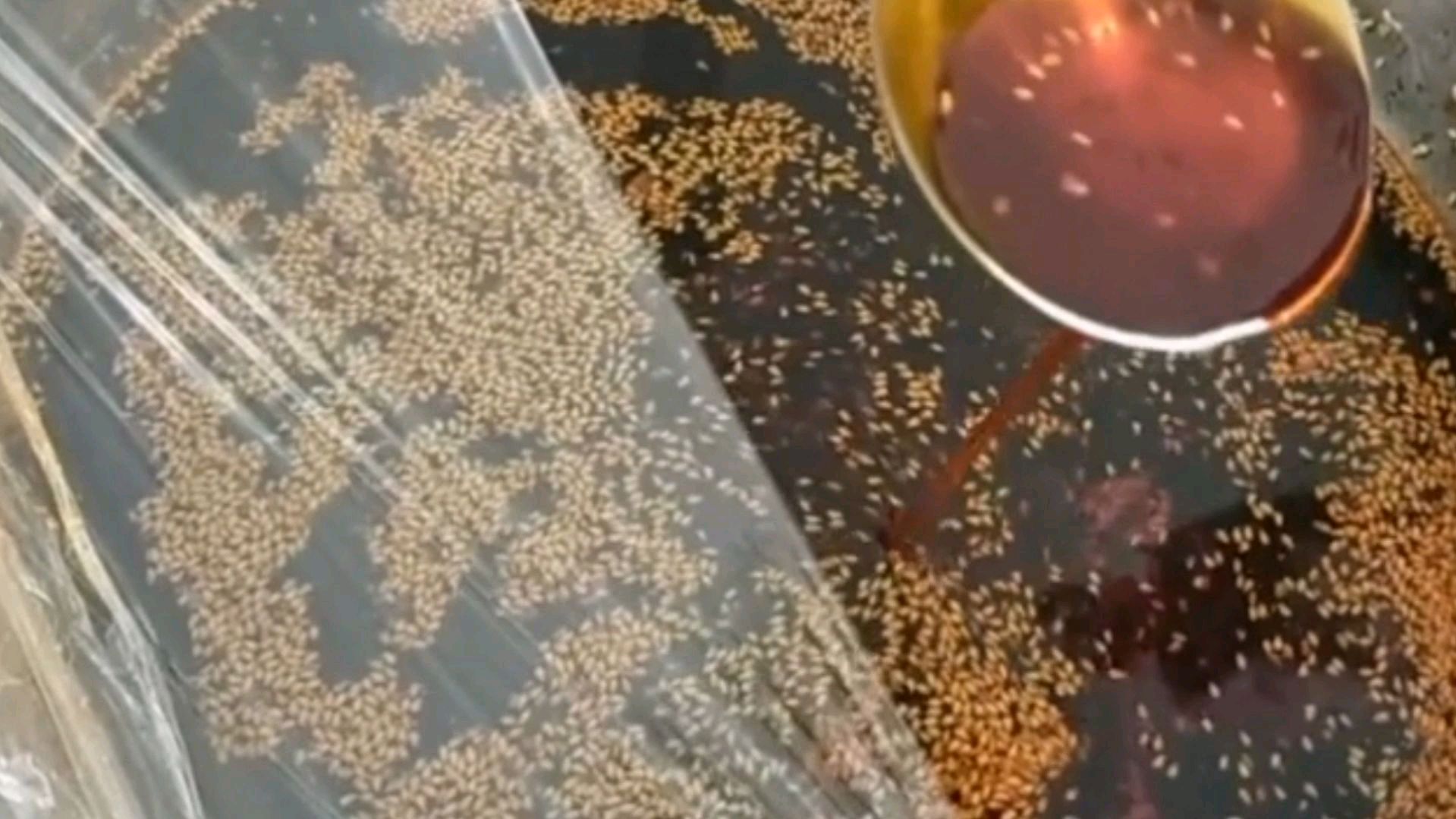 做辣椒油想好吃,不是直接泼油那么简单,家用万能做法,香辣味美