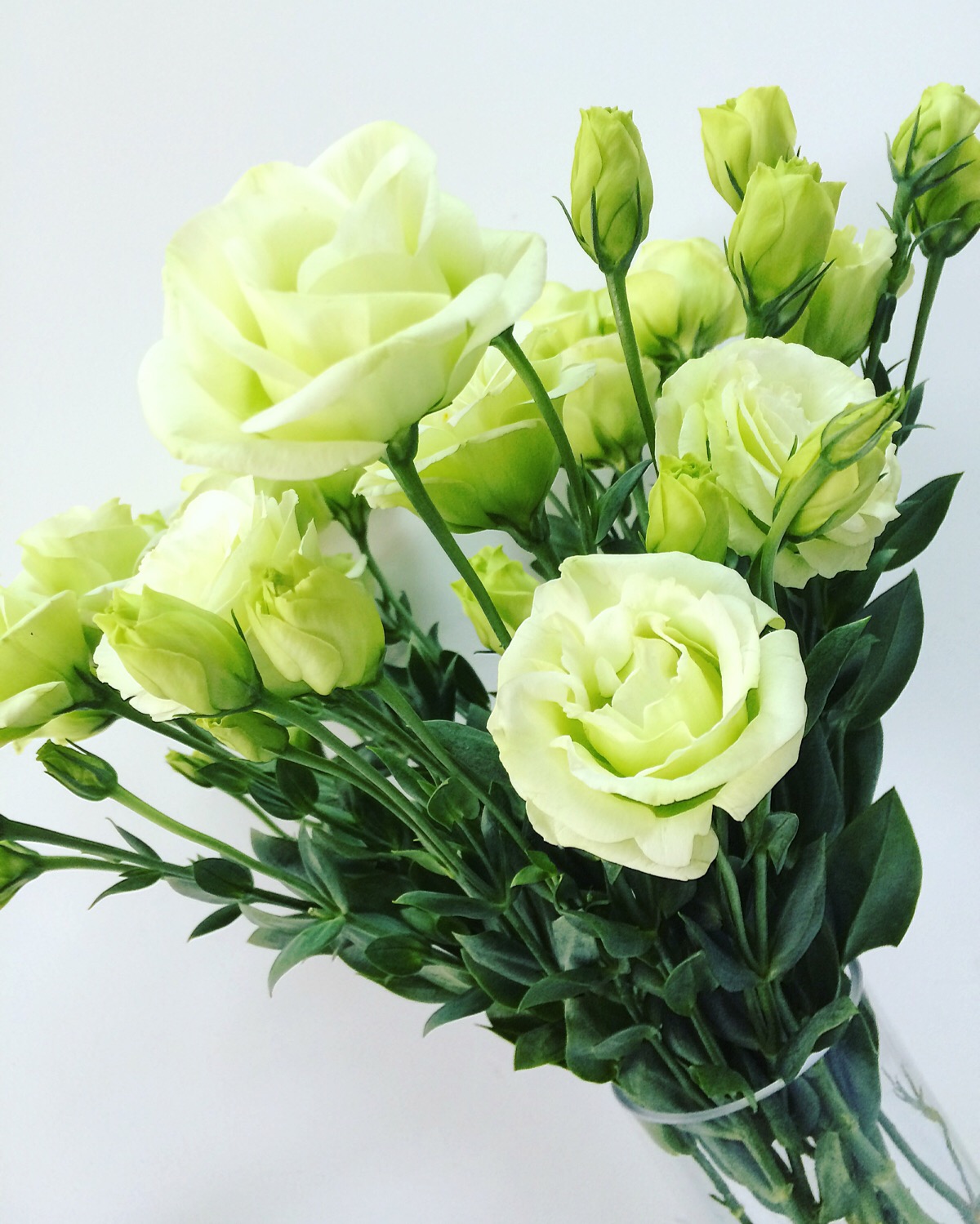 耐火材料 - 热门商品专区