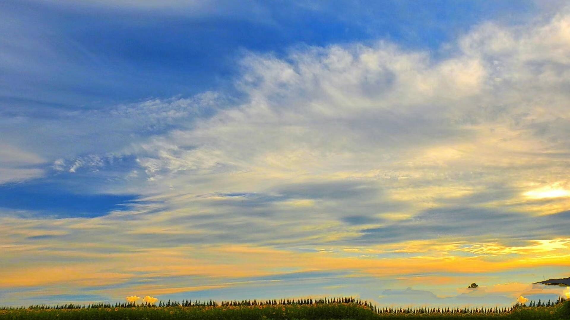 帮我漱口,净面,上妆,用早饭,听她读书,午睡,看花,晚饭.
