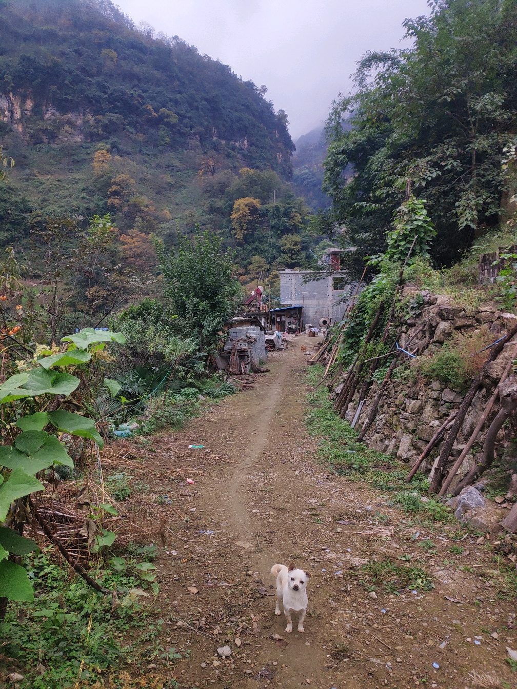 昭通市小河镇农村风光,居住分散,与世隔绝