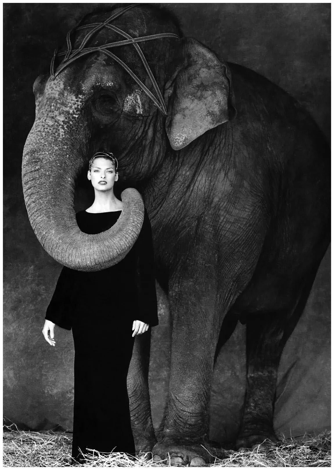 人称"时尚摄影教父"的史蒂文·梅塞引领风尚40年