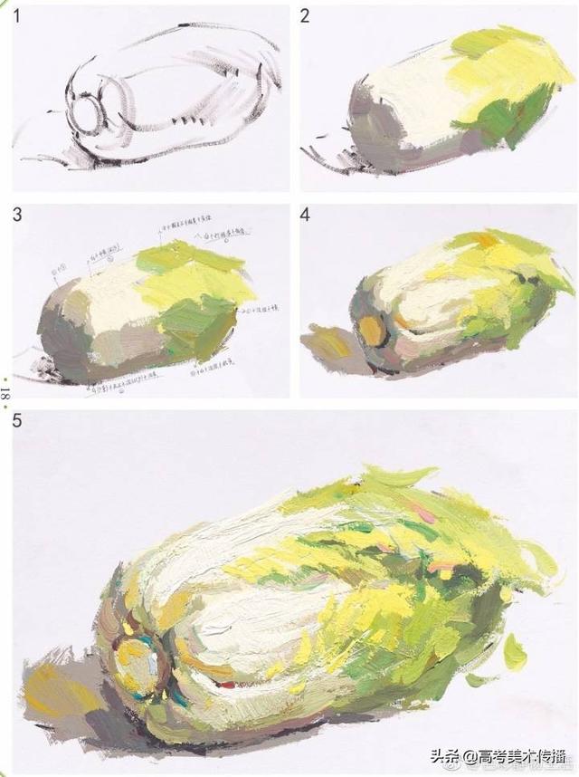 色彩静物单个物体塑造干货!