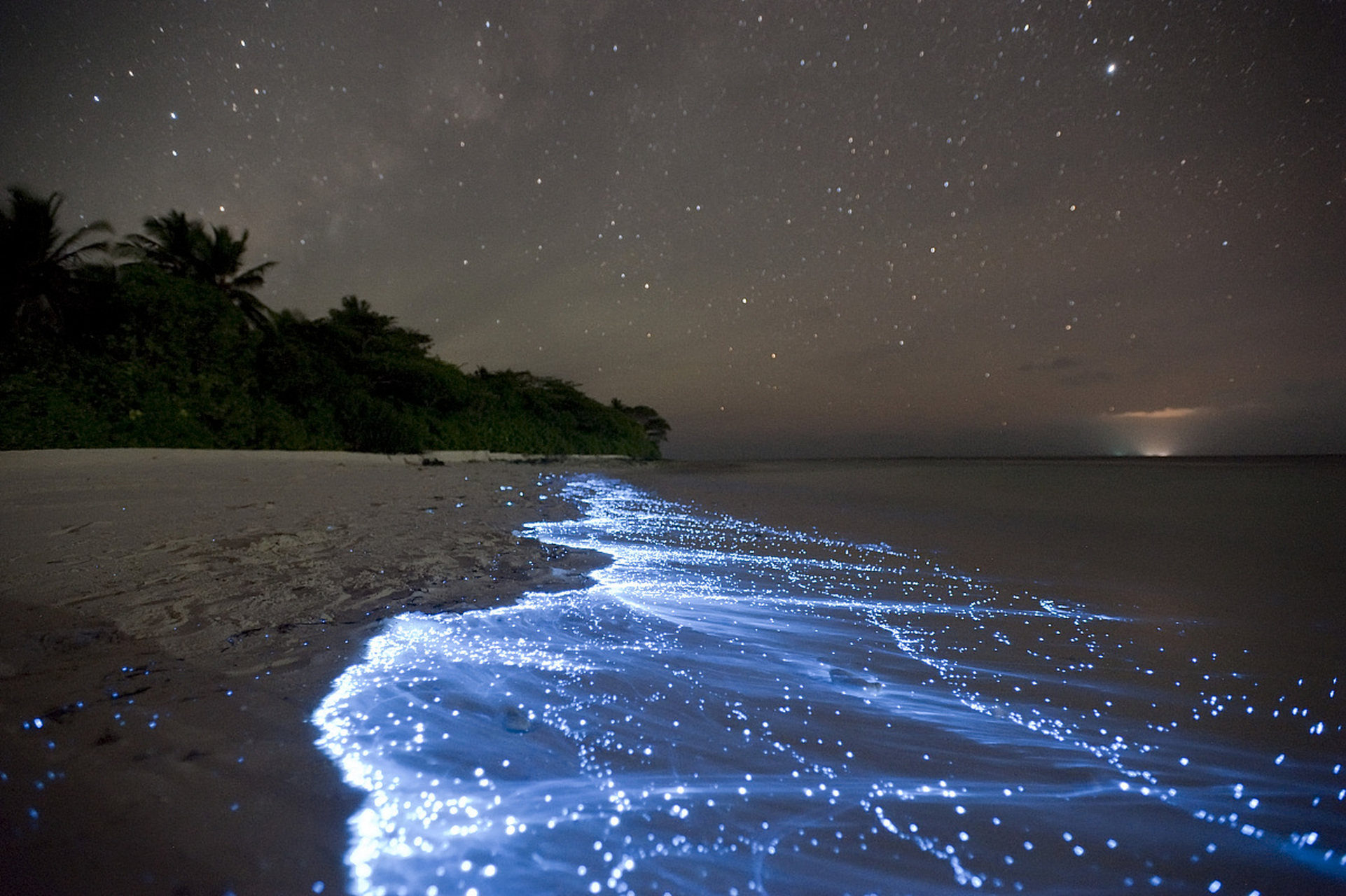 荧光海滩怎么形成图片