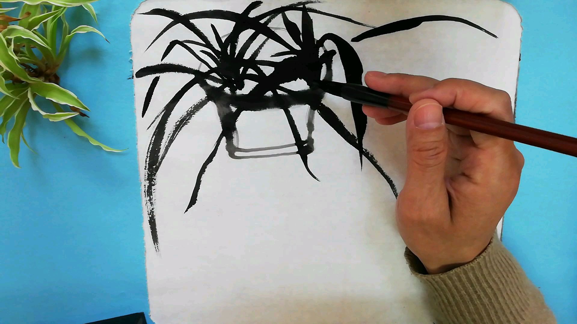 国画:我家吊兰我来画,金边吊兰的写意画法