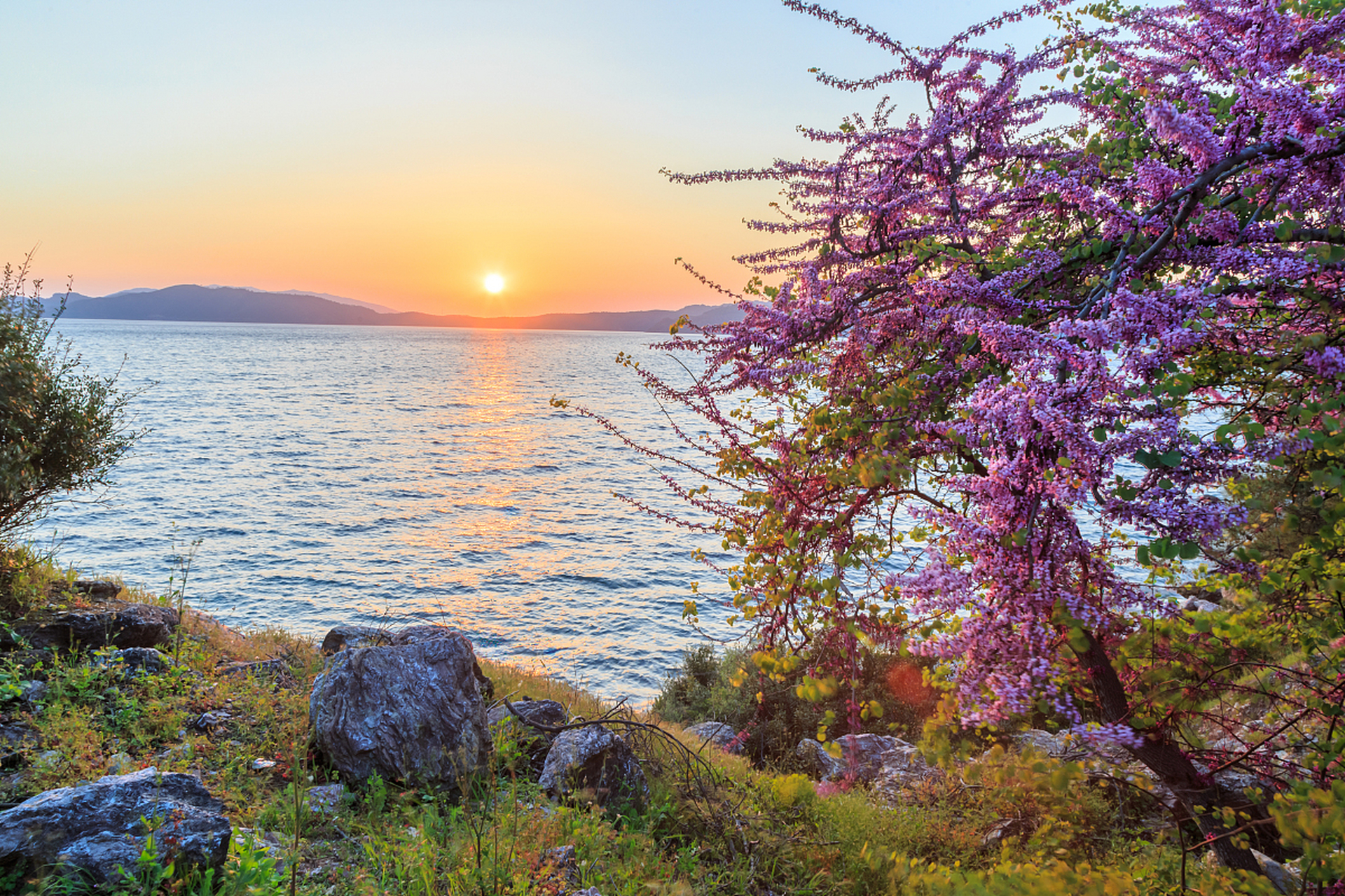 镜头里的春天# :春日的大连,沐浴在温暖的阳光之下,仿佛整个世界侗换