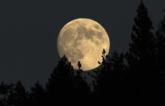写清秋夜半,月色清冷,月下佳人孤影阑珊的上联:冷月照人凄瘦影
