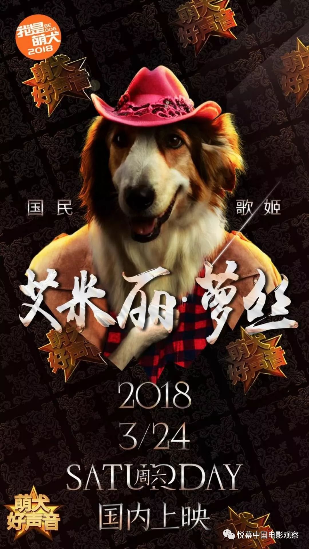 《萌犬好声音》3月24日全国上映,狗年必备"来吸狗"