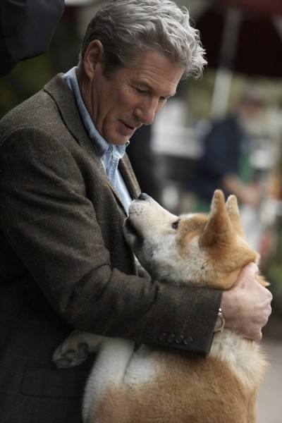 《忠犬八公的故事》:在风雨中,我愿用我的一生守候你的归来