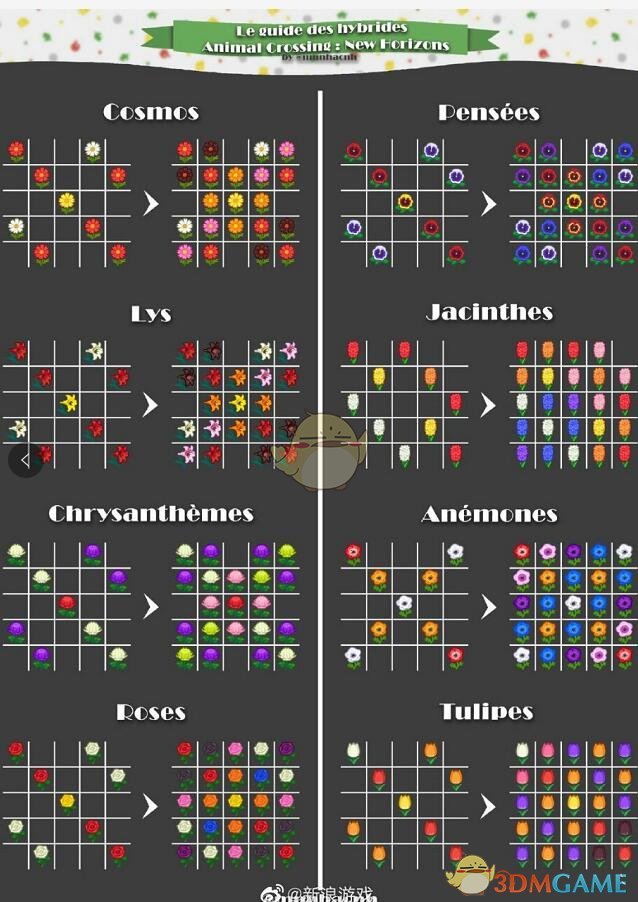 《集合啦!动物森友会》花杂交表图解